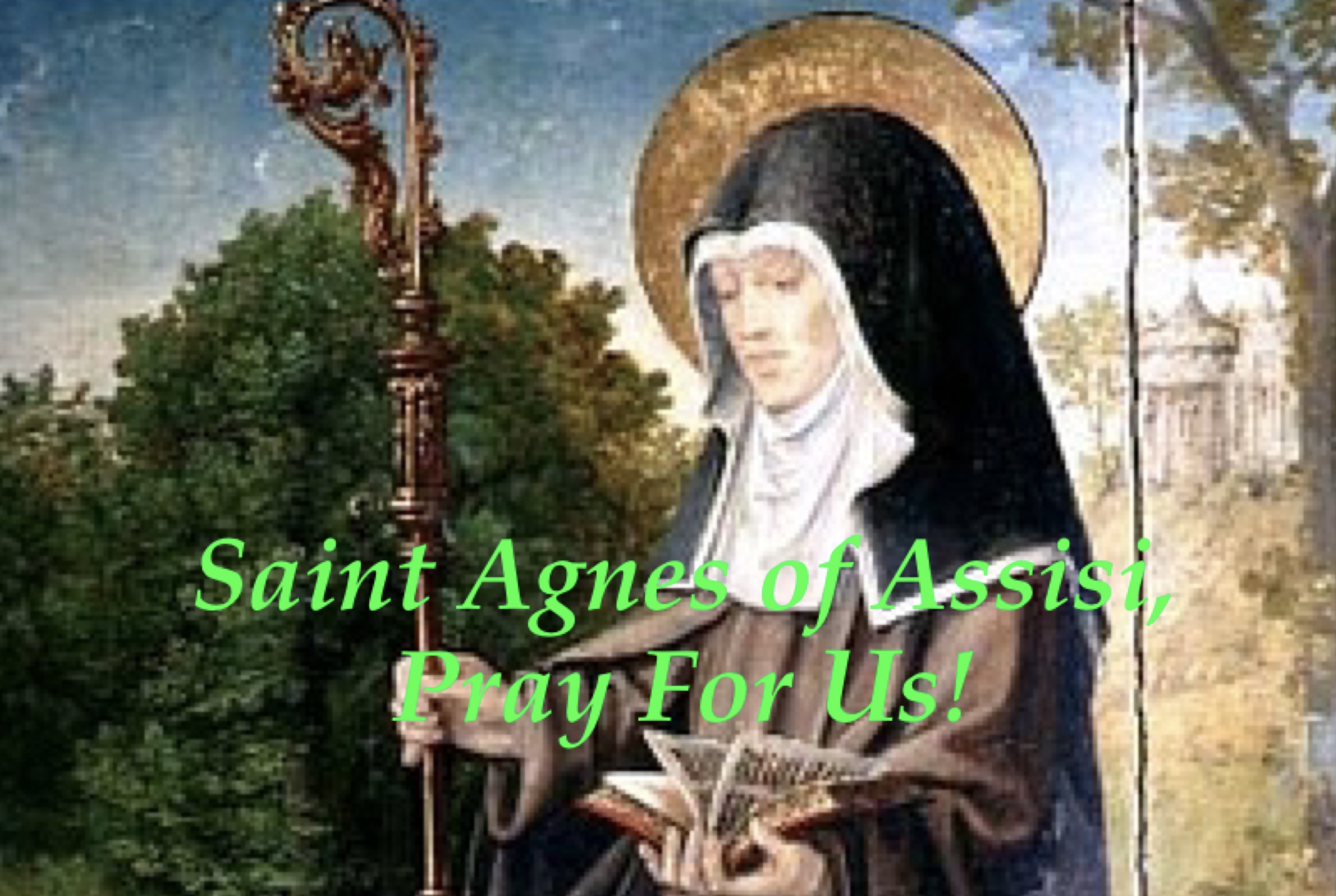 19th November - Saint Agnes of Assisi