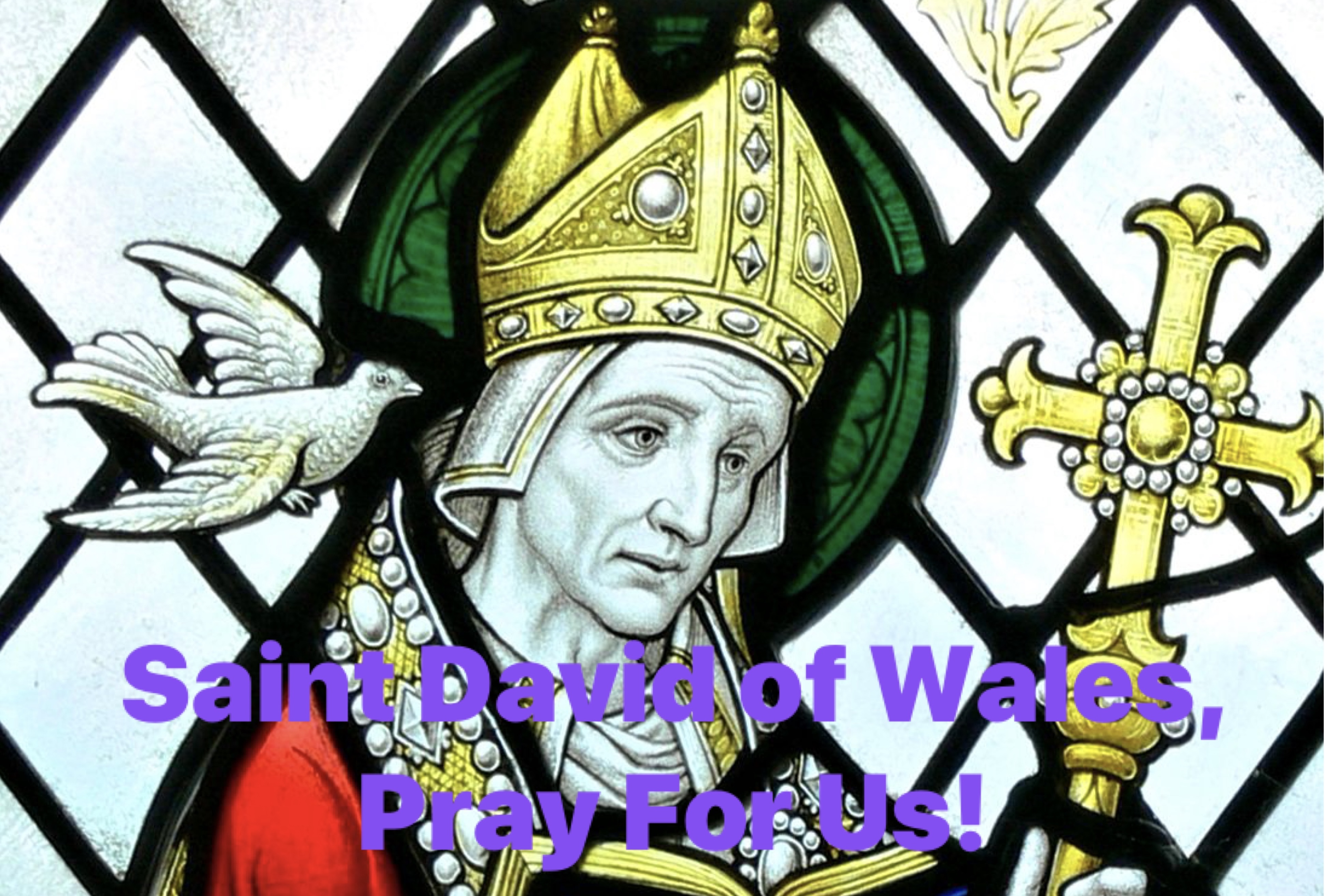 1st March - Saint David of Wales