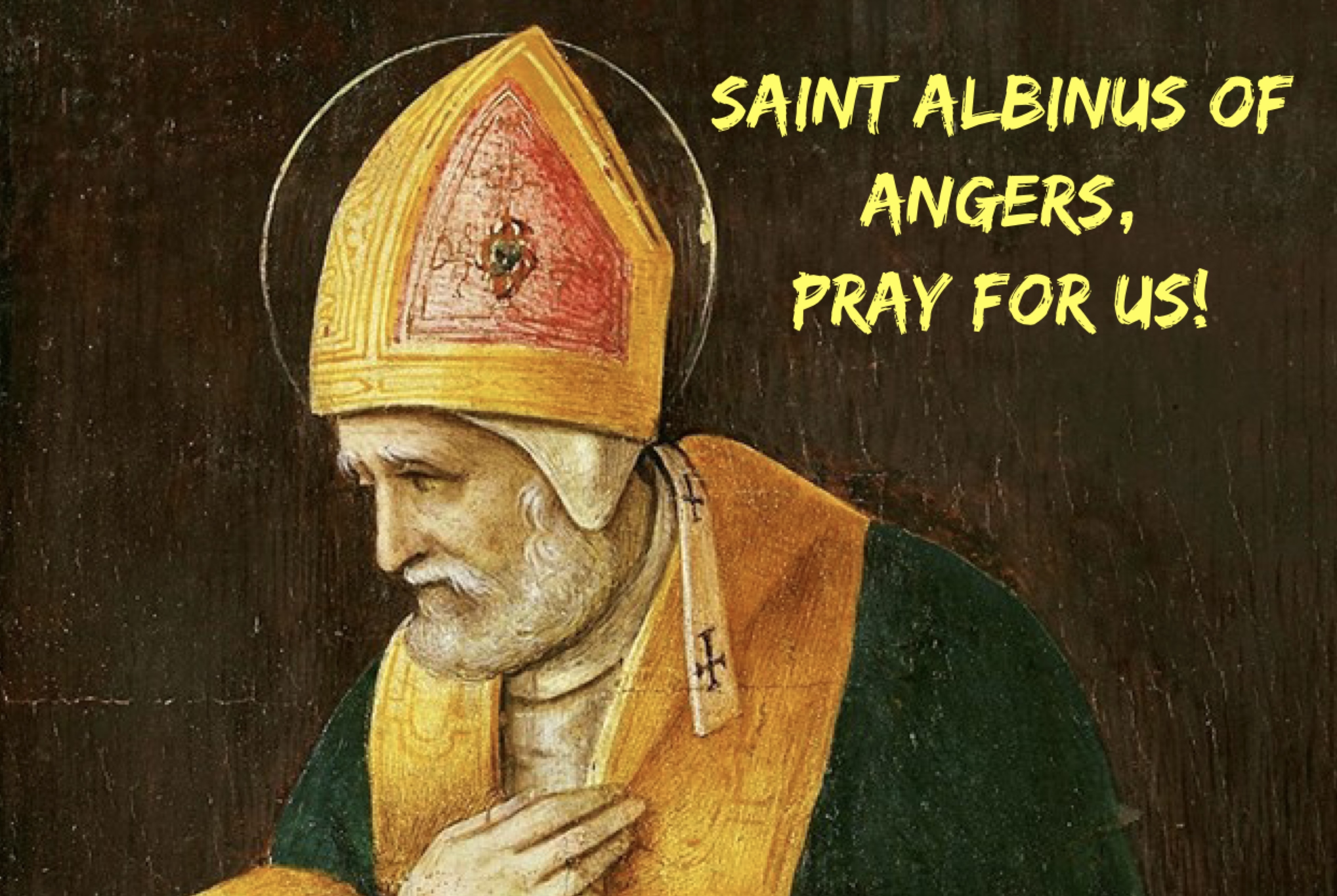 1st March – Saint Albinus of Angers 