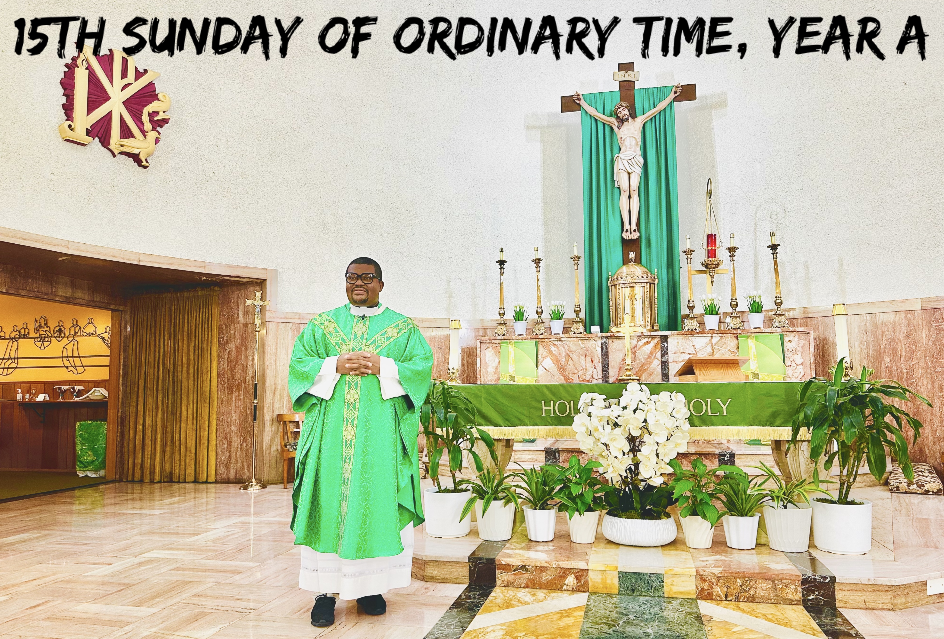 The 15th Sunday of Ordinary Time, Year A