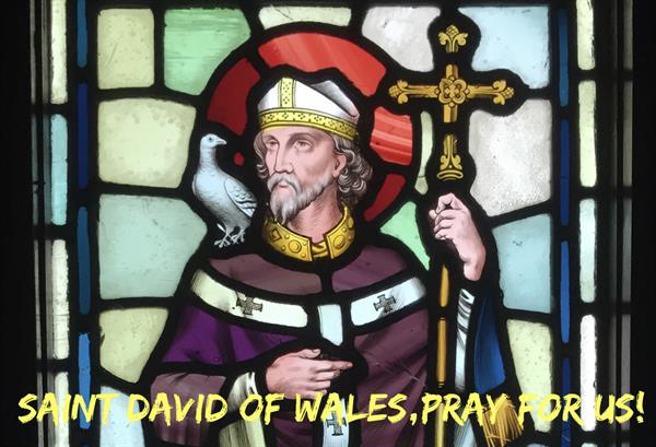 29th February - Saint David of Wales